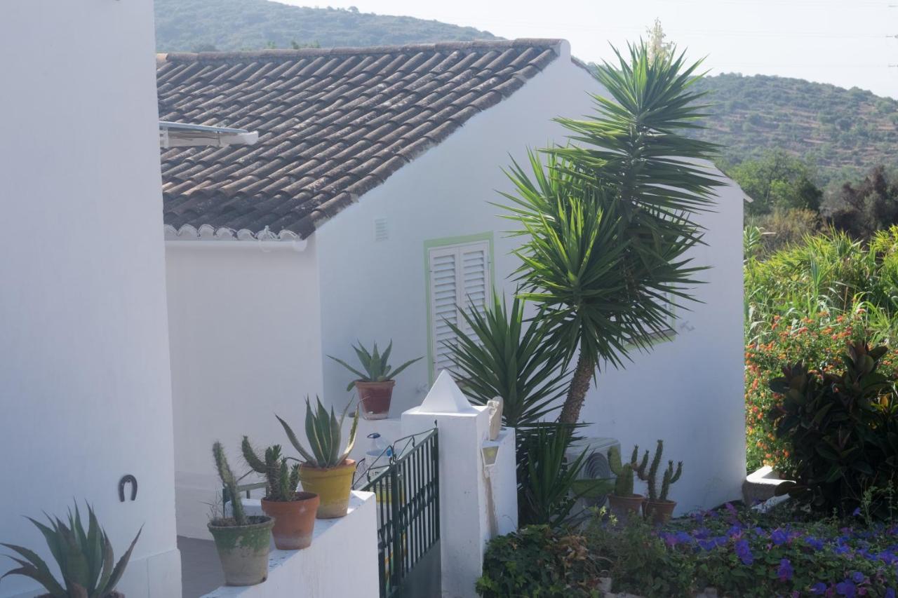 Casa Da Cabeca Hotel Azinheiro ภายนอก รูปภาพ