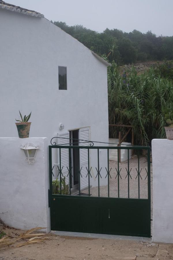 Casa Da Cabeca Hotel Azinheiro ภายนอก รูปภาพ