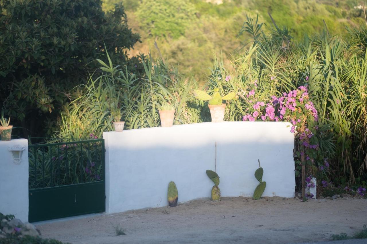 Casa Da Cabeca Hotel Azinheiro ภายนอก รูปภาพ